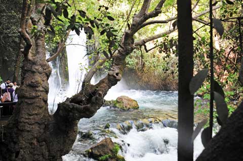 Banias Wasserfall