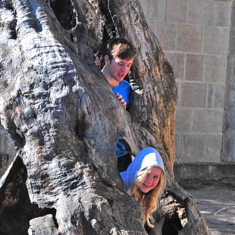 Wunschbaum im Kloster Haghartsin