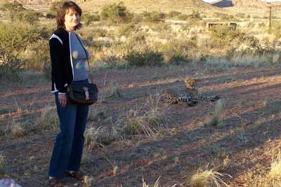 Fototermin mit einem Gepard "Cheetah"