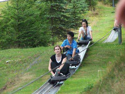 Sommerrodelbahn auf dem Inselsberg