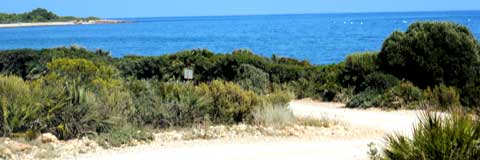 Playa La Basseta (nudista) - Alcossebre / Peñíscola