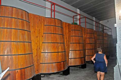 Carmelitano Bodegas y Destilerias, Benicasim