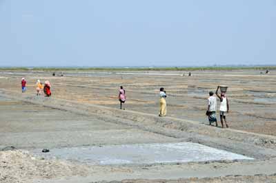 Salzfelder an der Küstenstraße von Mahabalipuram nach Pondicherry