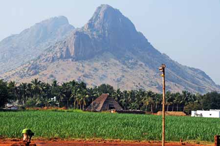 Indien - Landschaft bei einer Ziegelei am NH49 bei Usilampatti