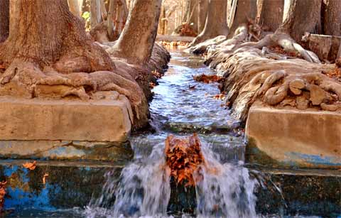 Pahlavanpur Garden باغ پهلوان پور, Mehriz