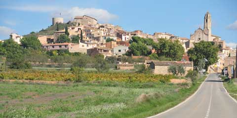 Barberà de la Conca