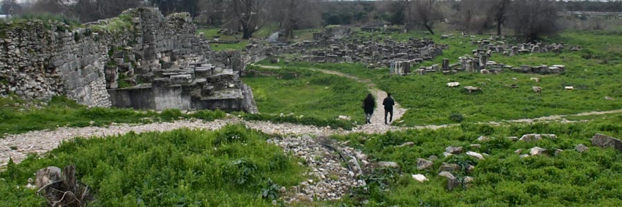 Limyra Antik Kenti, Einbau Säulenreste