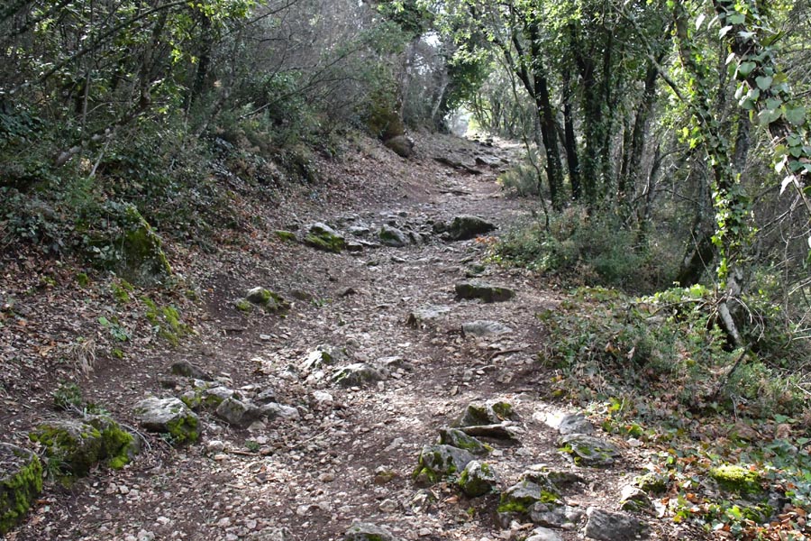 Kral Yolu, Termessos Antik Kenti, Döşemealtı Kral Yolu, Termessos Antik Kenti, Döşemealtı