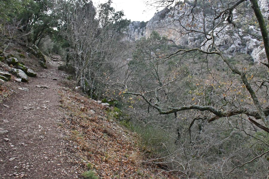Kral Yolu, Termessos Antik Kenti, Döşemealtı Kral Yolu, Termessos Antik Kenti, Döşemealtı