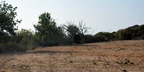 Ronnas Bay, Sandstrand