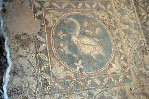frühchristliches Mosaik mit Schwan archäologische Ausgrabungsstätte Soli