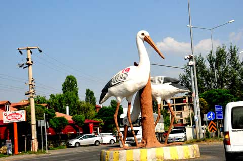 Storch von Iğdır