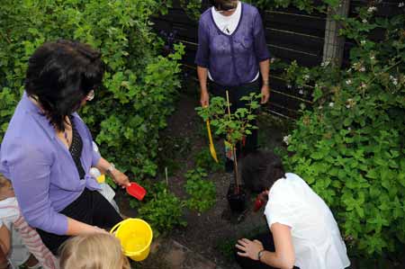 Baum pflanzen - Tradition zum Zuckertütenfest