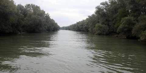 Dunărea - Brațul Sfântu Gheorghe im Donaudelta