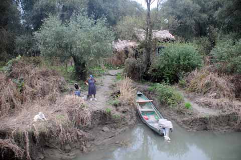 Donaudelta