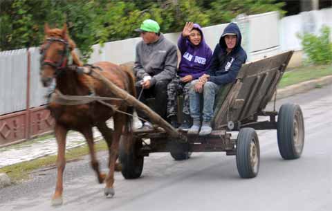 Pferdewagen Rumänien