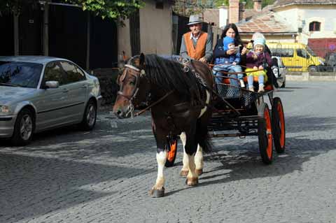 Sighisoara Schäßburg Kutsche