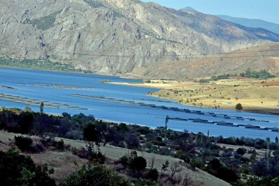 Fischzucht im Staudamm Çamlıca Dam an der D865