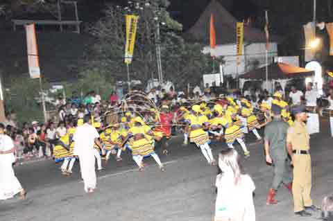 Cane Dance - Navam Perahera Colombo 2014