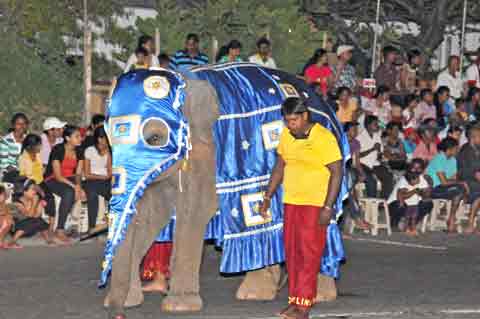  - Navam Perahera Colombo 2014