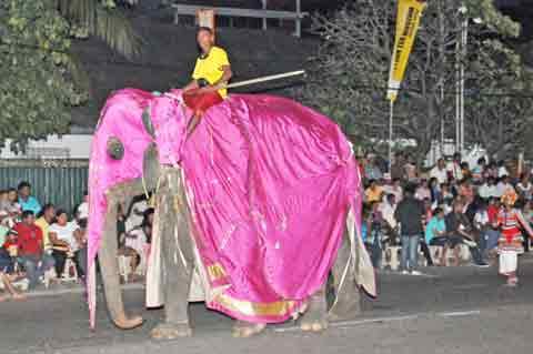  - Navam Perahera Colombo 2014