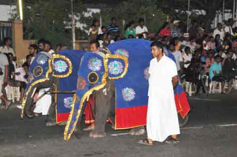  - Navam Perahera Colombo 2014