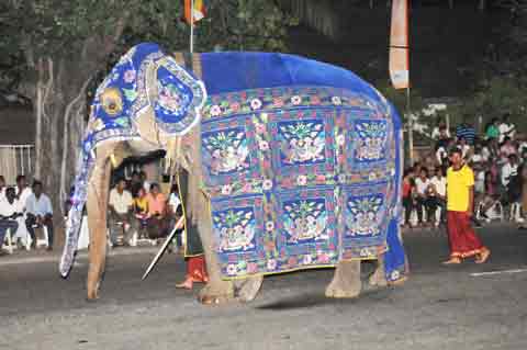  - Navam Perahera Colombo 2014