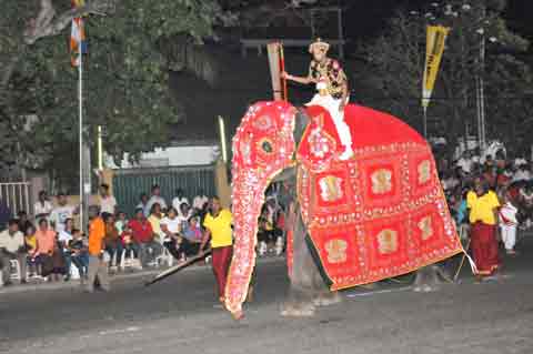 Gajanayaka Nilame mit Ankusa - Navam Perahera Colombo 2014