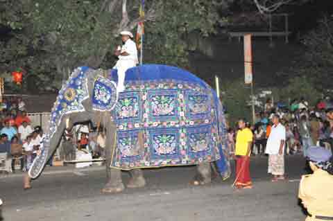  - Navam Perahera Colombo 2014