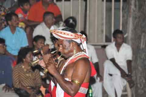  - Navam Perahera Colombo 2014