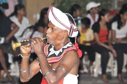  - Navam Perahera Colombo 2014