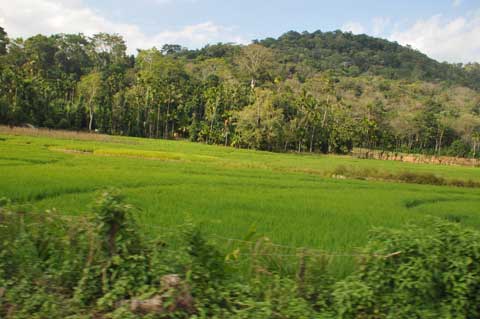 Route A4 vor Wellawaya, Sri Lanka