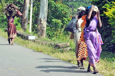Frauen auf der Route A4, Sri Lanka