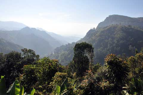 Ella, Hotel Gap Panorama