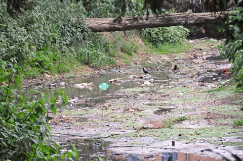 Victoria Park, Nuwara Eliya