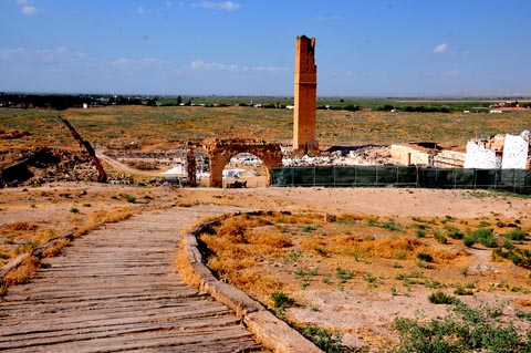 Tarihi Harran Üniversitesi