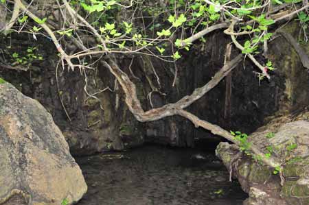 Baths of Aphrodite cave -  Akamas